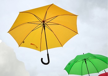 20 Парасолька