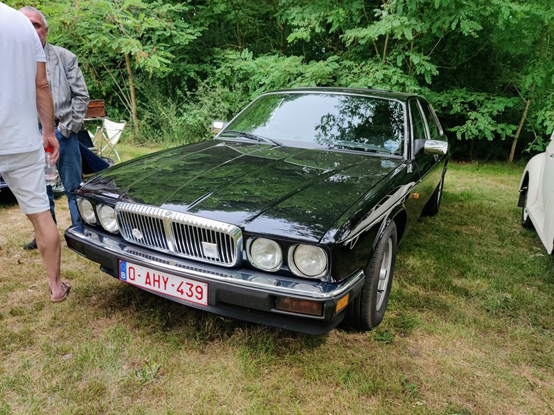 IMG-20250622-115318-2.jpg