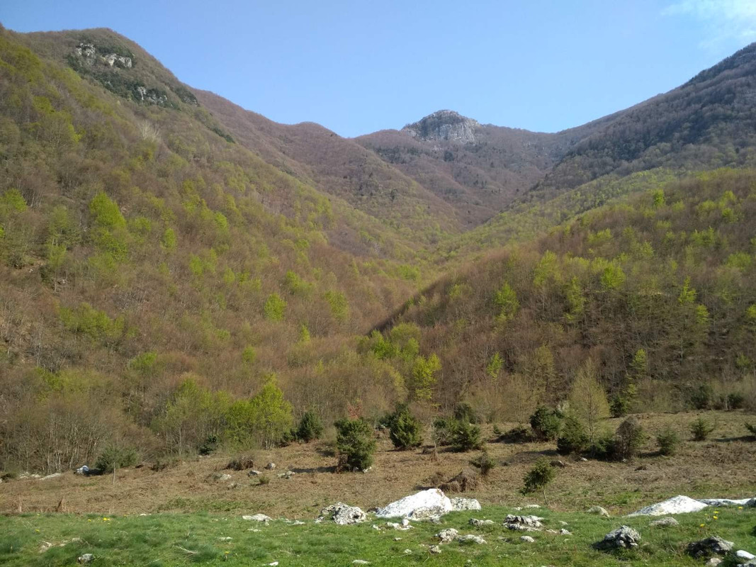 0F121C83-64F3-4FE9-925C-4D521B32871C