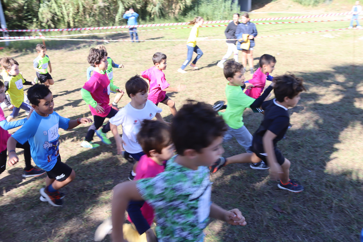 IMG-0591