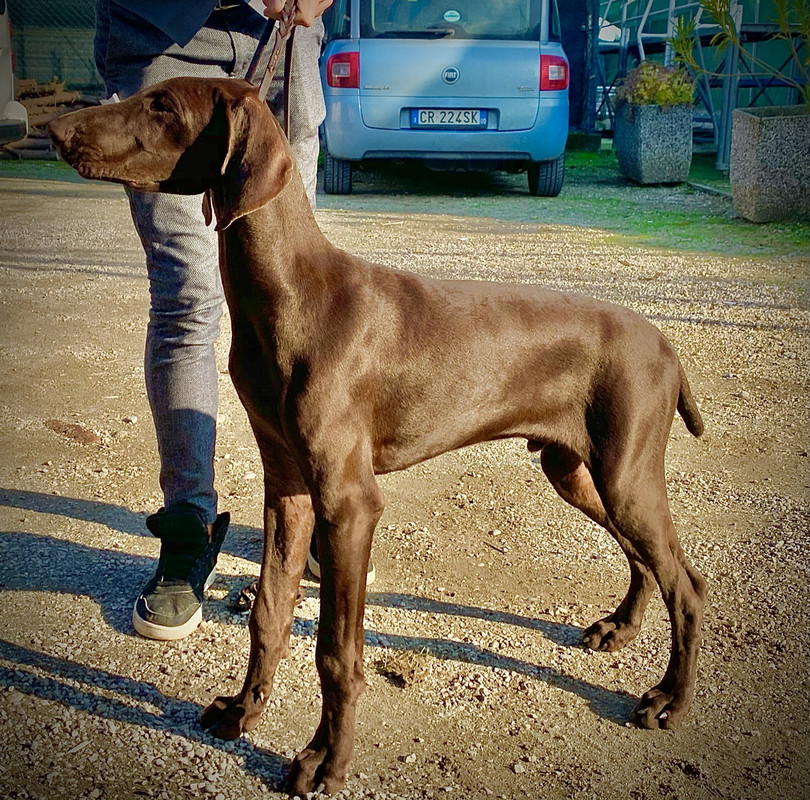 2C5190A2-F547-4DFF-949A-817A2CE392B7