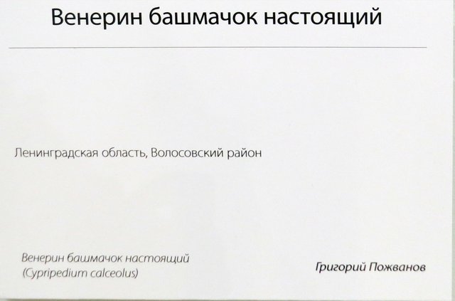 https://i.postimg.cc/dQRVBB5c/03-IMG-9375.jpg