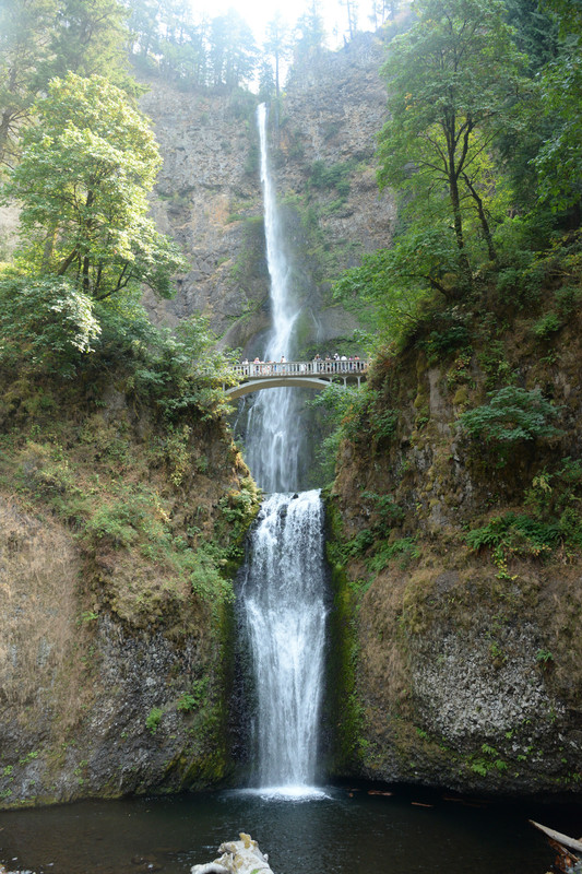 Centro, Columbia River Gorge y Mount Hood - Árboles gigantes, fuegos y volcanes extintos - Oregon y California norte (2018) (17)