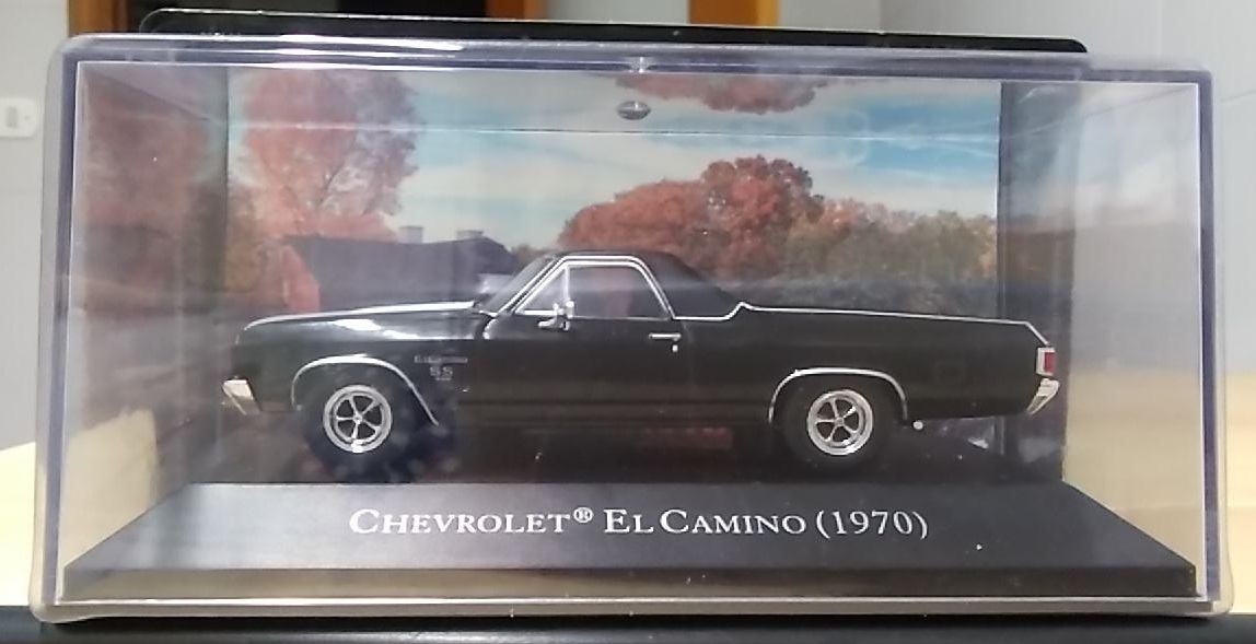 photo_2020-08-01_08-47-04