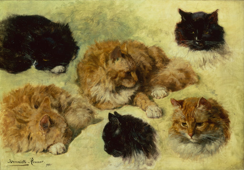 Henriette-Ronner-Knip-Studies-of-Cats-Meister-Drucke-1172458
