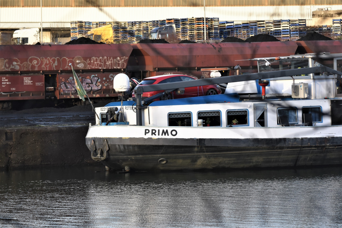 2022.02.02b3 Primo (1940x1293)