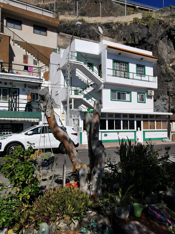 IMG_20240103_123354_edit_88396667052135