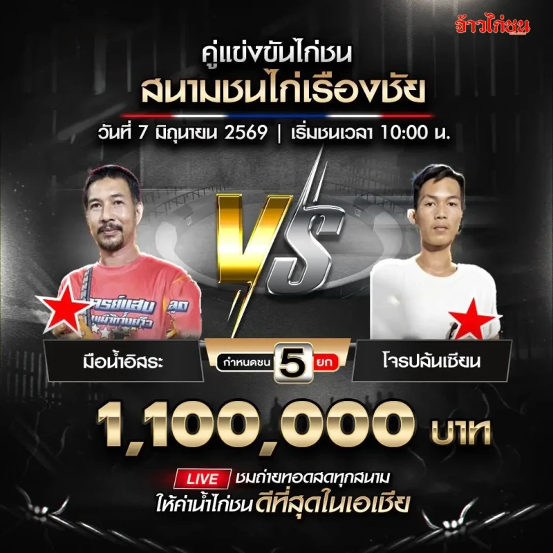 มือน้ำอิสระ vs โจรปล้นเซียน โปรแกรมไก่ชน สนามชนไก่เรืองชัย 7 มิถุนายน 2026