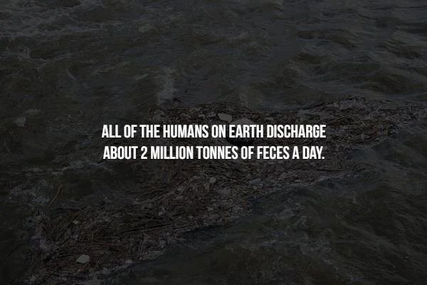 34C1C68C-A0A0-4177-9A3F-91D0C8373C98