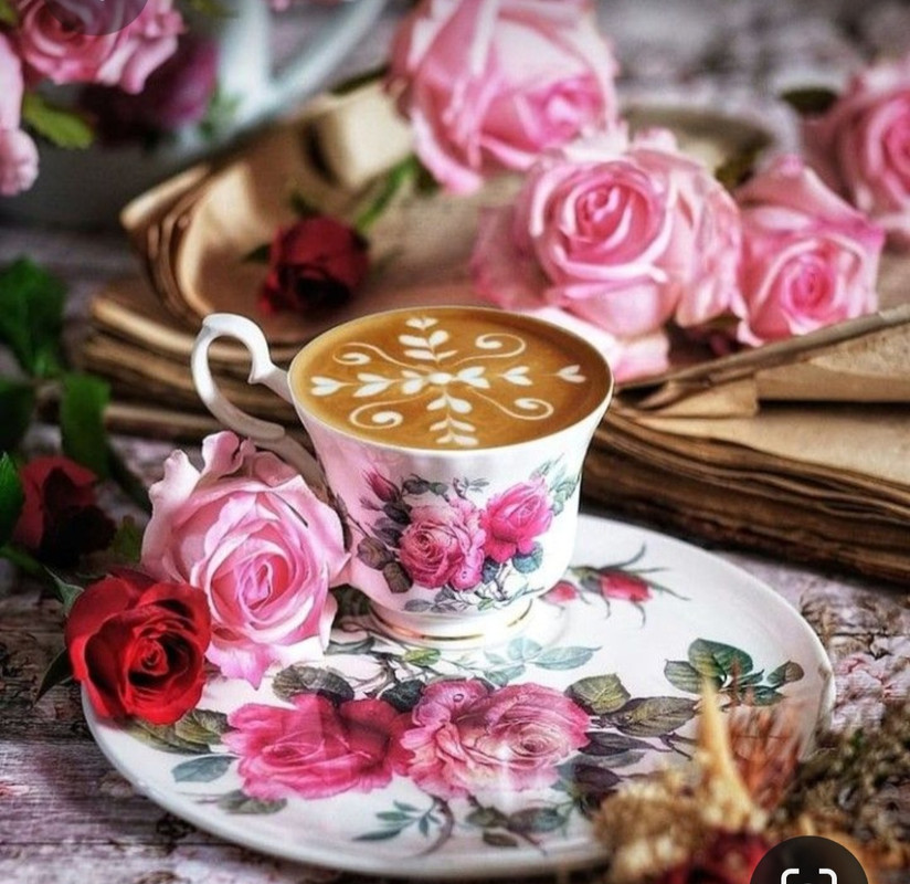 Screenshot_20230316_181200_Pinterest