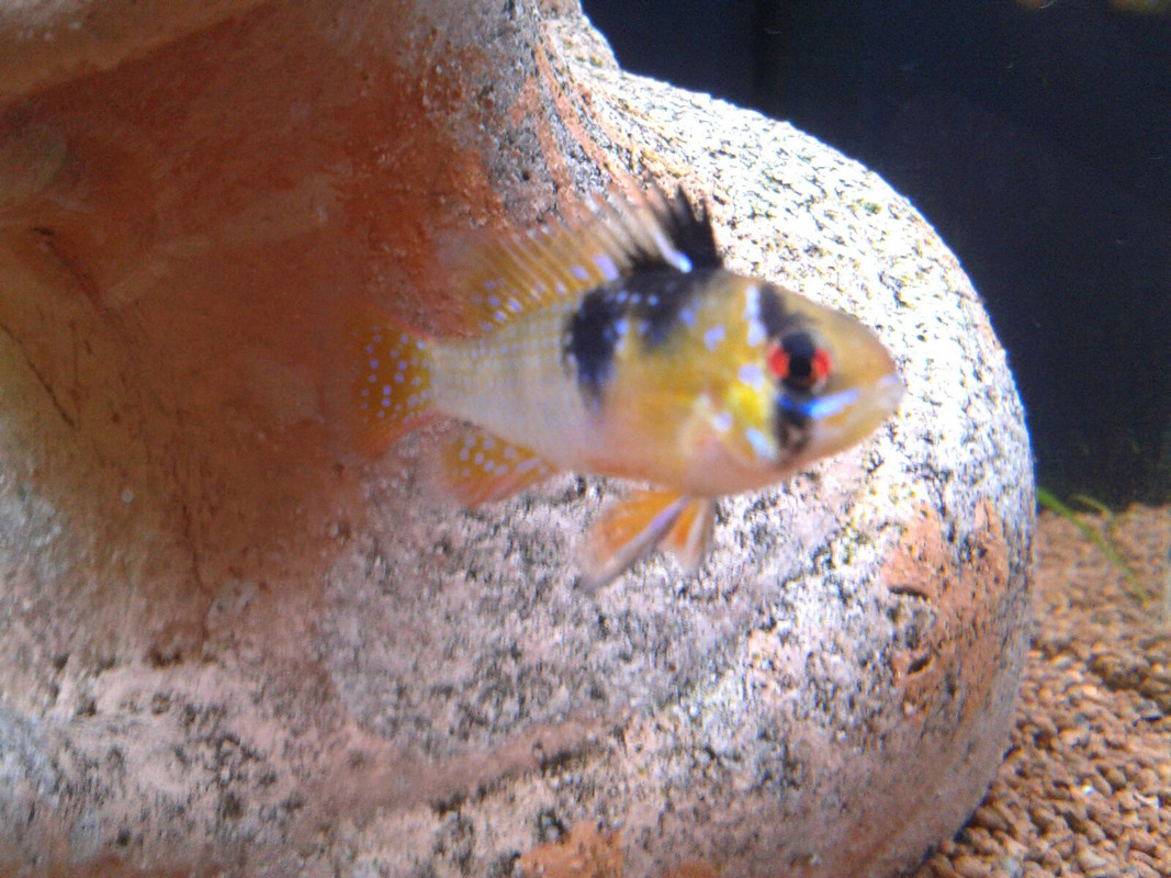 altAqLV_BQM6Ii3B3VHG6lNr2O2jgjH8aJN9-7O-Lr2sfp7