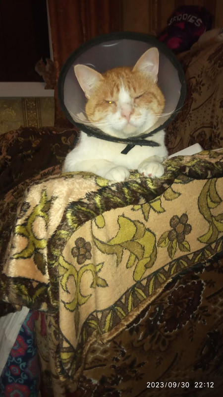 photo_2023-09-30_22-13-11 (2)