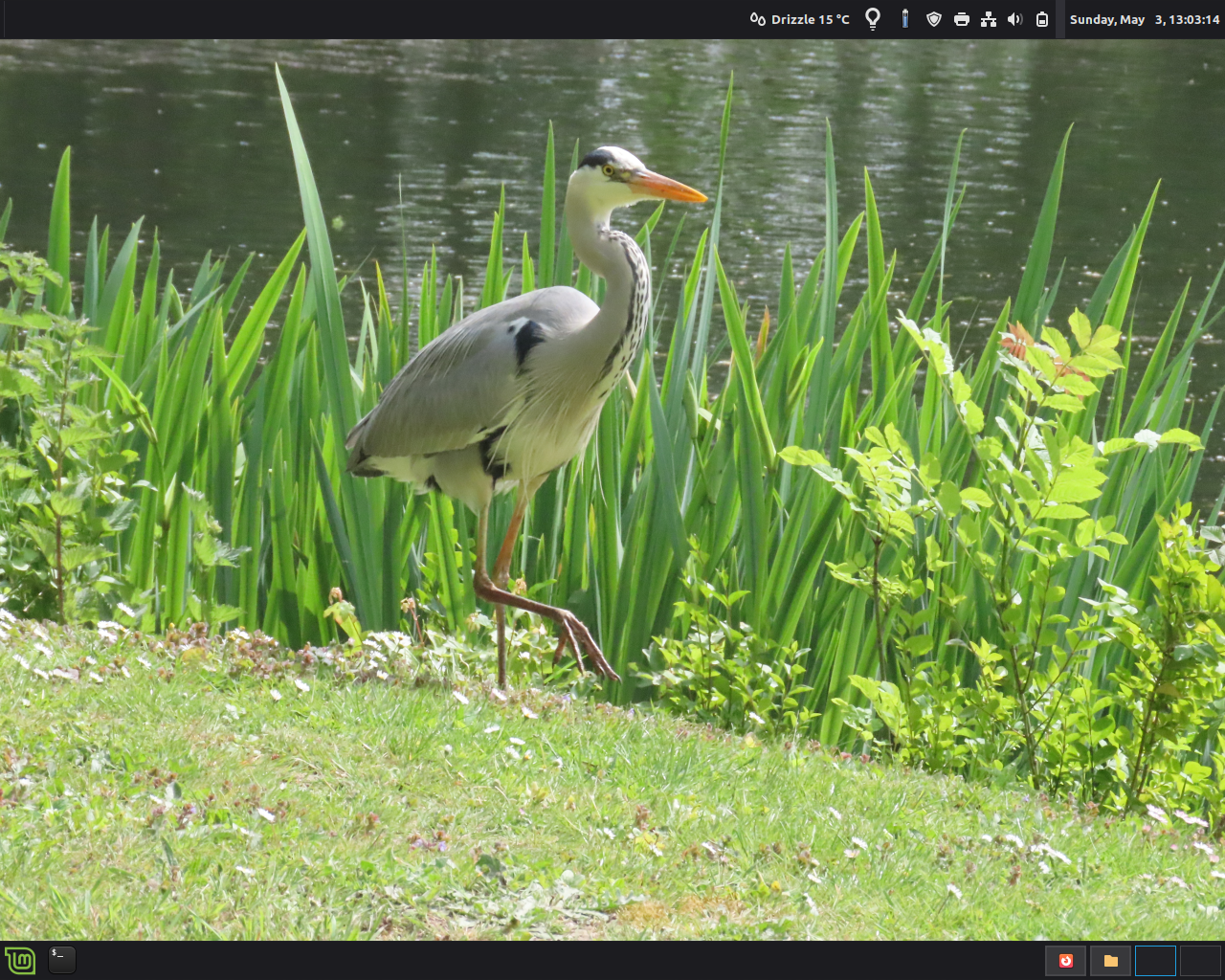Wallpaper Desktop030526