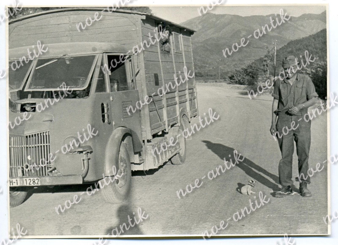 Foto 100. Jäger Division WH, LKW, Truck, kleiner