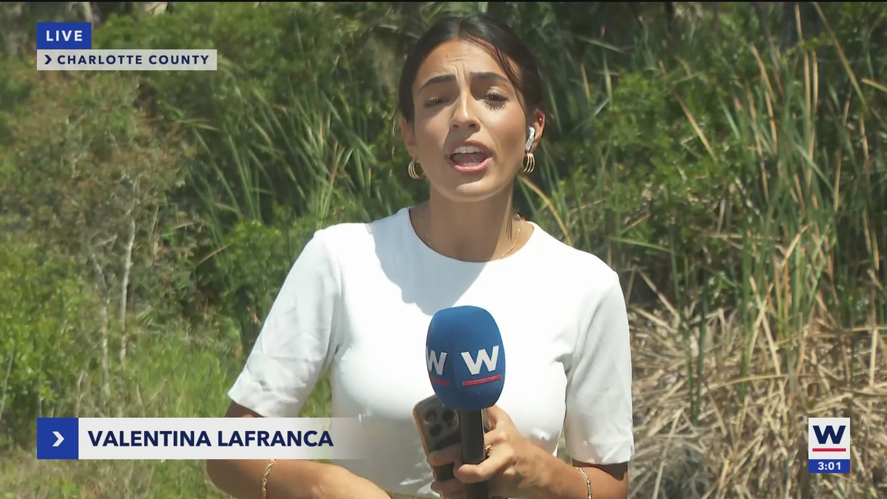 WINK News at 3pm_20250514_20002100.ts_snapshot_00.02.43.804