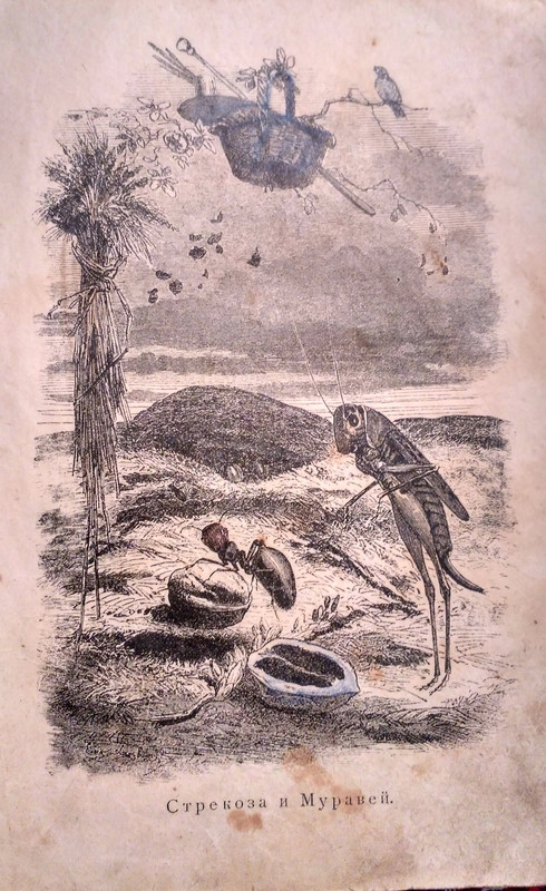 Стрекоза и муравей . Гравюра к басне Крылова.