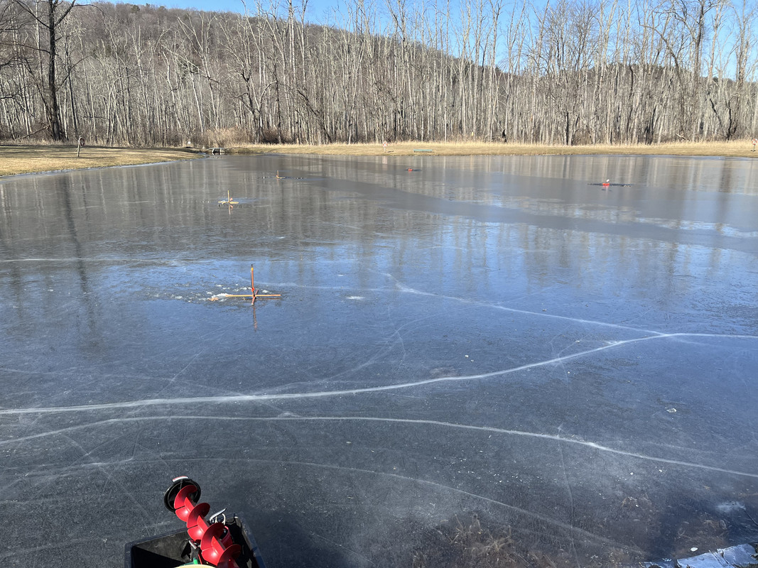 77C92534-72A6-4E23-A29D-C8B4E3424697