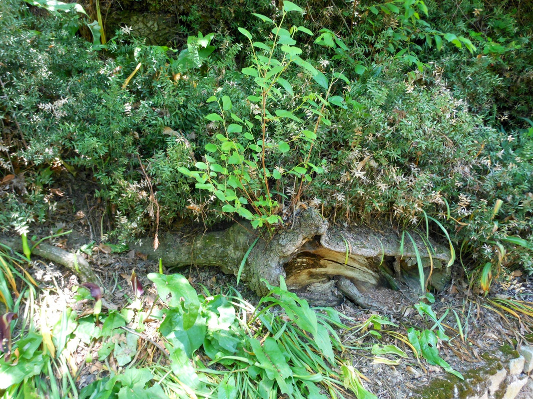 M4zKsHjMU05RqUYJLRV-JqXQObJCvnLQlgB859FHXzenMLdqZpOHHJGSA7XOk1yc0Nz7oPzco8ACAtJDMaun-1DF