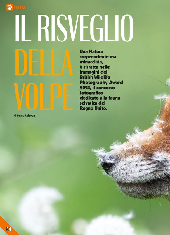 Foc Wil - Ott 2023 (9)