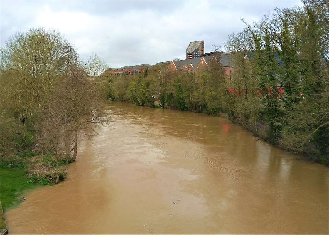 IMG_20230401_151245313