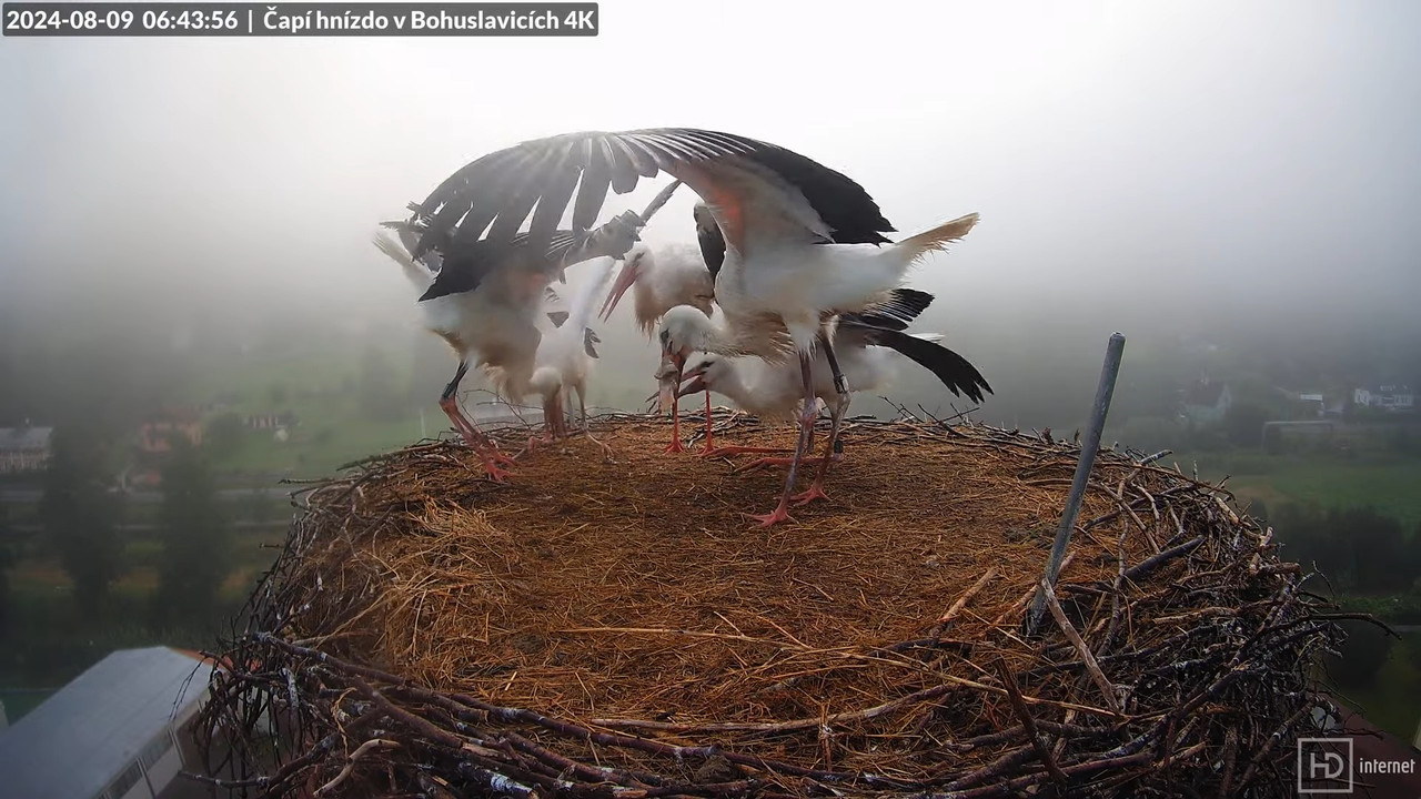 Tiešraidē no uzņēmuma KARA stārķa skursteņa Bohuslavicē pie Trutnovas 11-18-30 screenshot