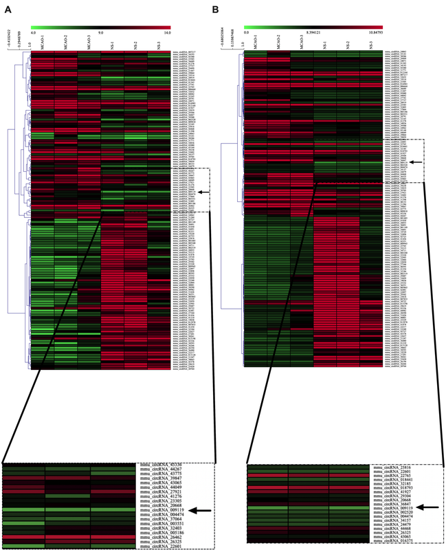Supplementary Figure 1 — Postimages