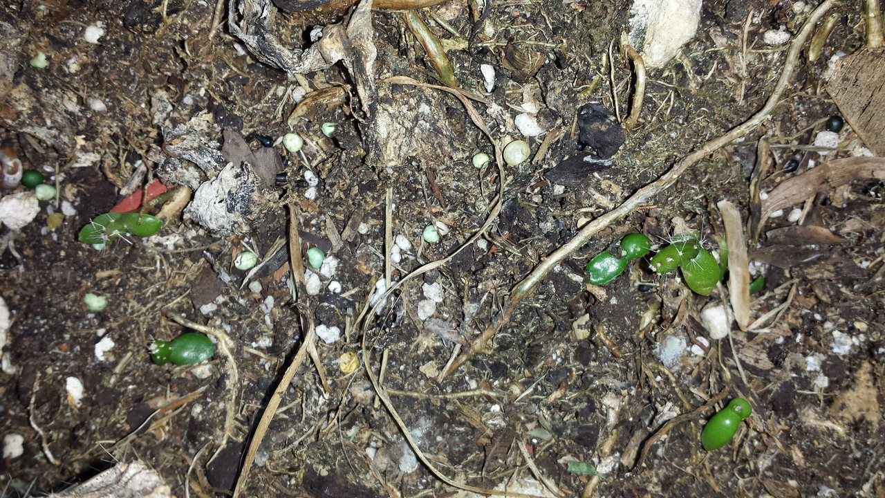 20131123_132913 (2560x1440)