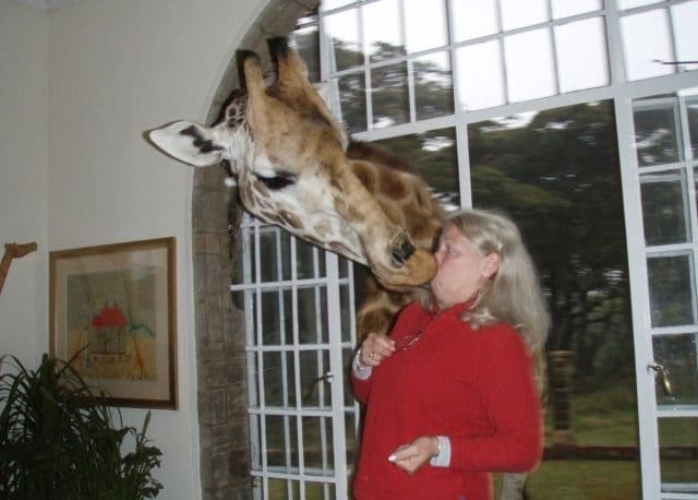 20 фотографий туристов с животными, на которых что-то пошло не так