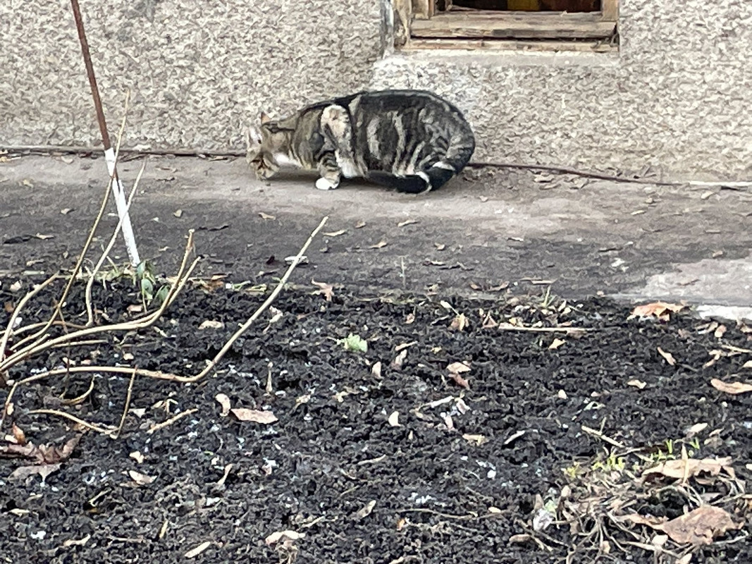 D519F8DE-D7C6-46A4-AA2D-7C8BA7735058