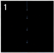 IMG-20260717-154928.png