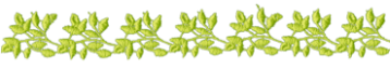 5aa