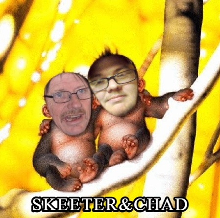monkeys