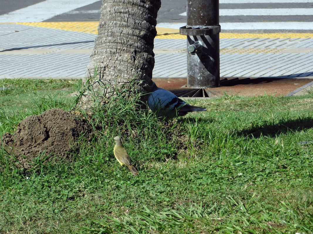 DSCN0215.jpg