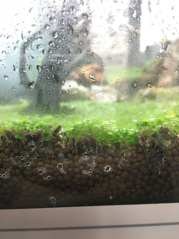 19ACE39D-40DE-43C5-9D2F-5DBA6B384730