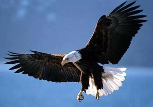 [Image: 6541-1-or-1389361749.webp]