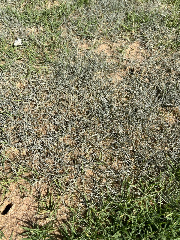 DEBBE621-6C3E-4220-A995-4ABA301F3B8C