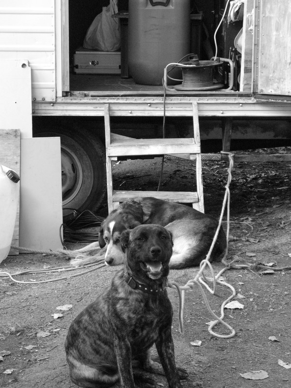 ADP System Pancharevo 2009 (4)