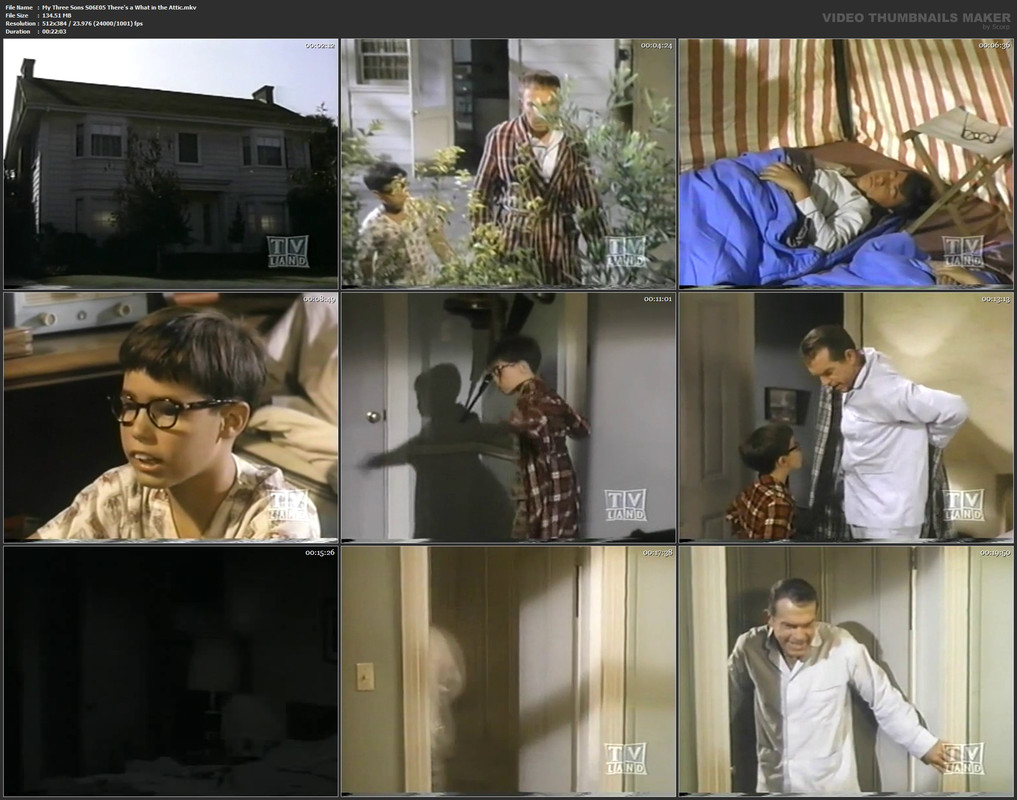 My Three Sons S06E05 There's a What in the Attic.mkv