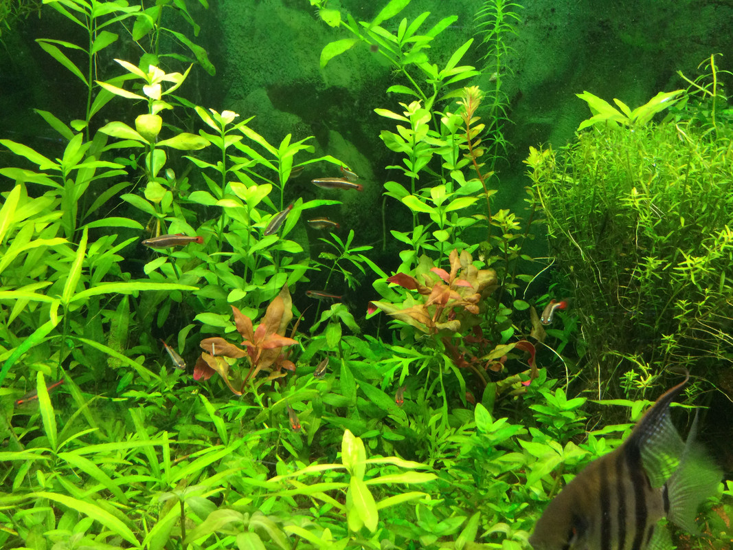 57B1323A-3CAF-44E5-8C01-B4CB619B831A