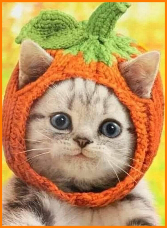 C298755B-997D-42B1-8FE3-17623D60F8A6