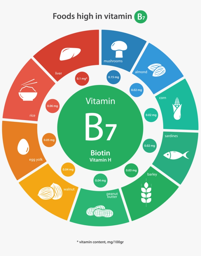Food rich in vitamin B7 Biotin - Infographic