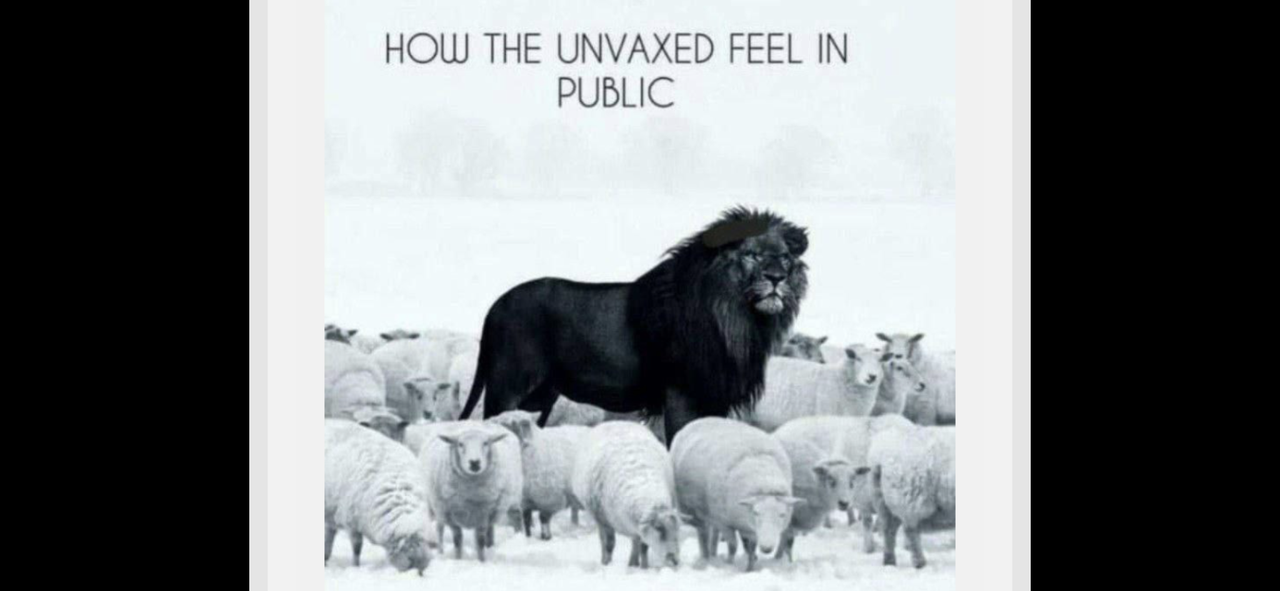 FB7C4AC7-392A-406F-B9C3-6264EC1A4426