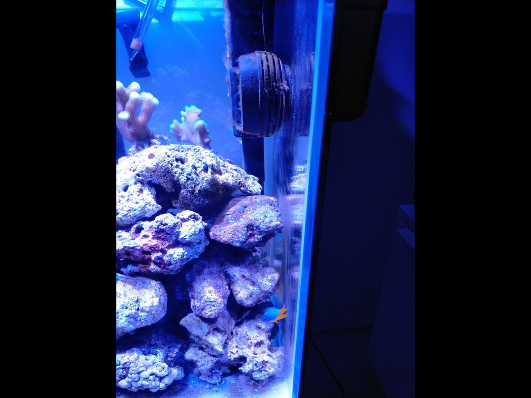 4D345DDF-3AF0-43A5-808E-3F5A3DDB4B94