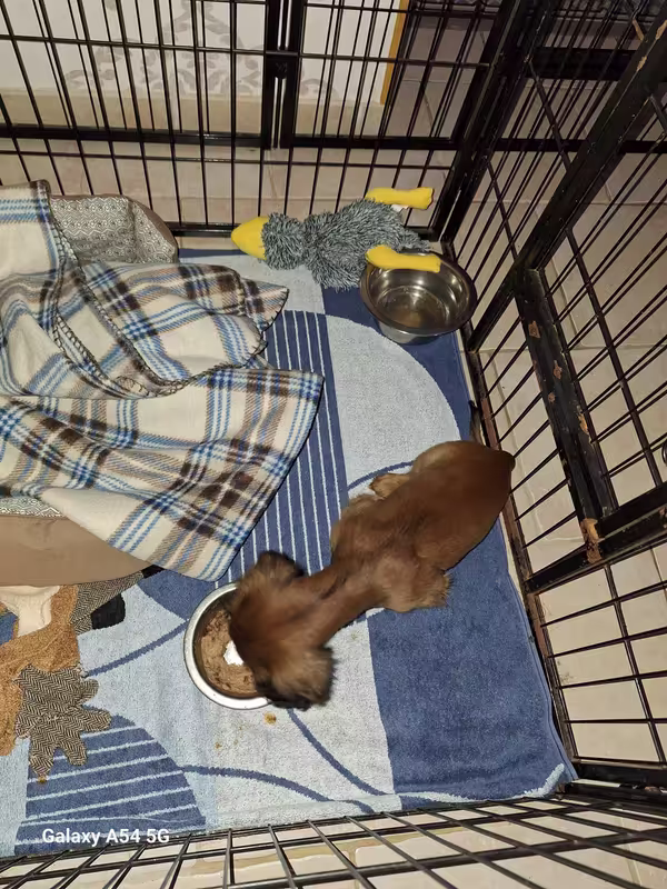 [Image: 20240904-210523.avif]