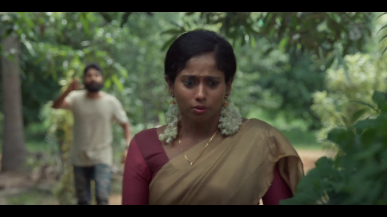 vlcsnap-2024-10-26-23h03m32s133