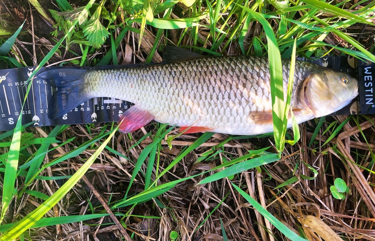 139C01D5-BAD5-4786-8D8C-CE60933D89B9