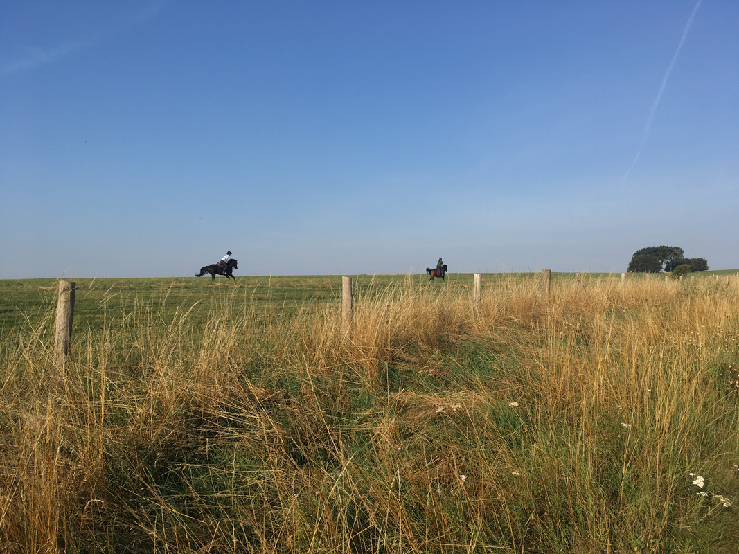 5A1ECFE0-38B1-44EB-8B2A-5E46DB870E86