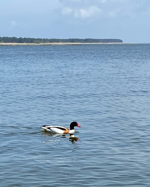 D3-E7-C907-FEF4-470-E-9-D7-A-8-C3-CD1-D0