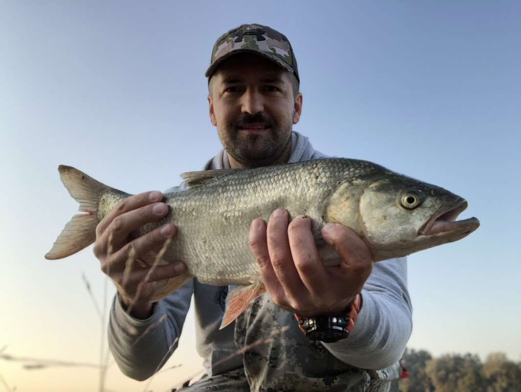 A713921D-EDE8-4F01-B499-986F0F9D0A07