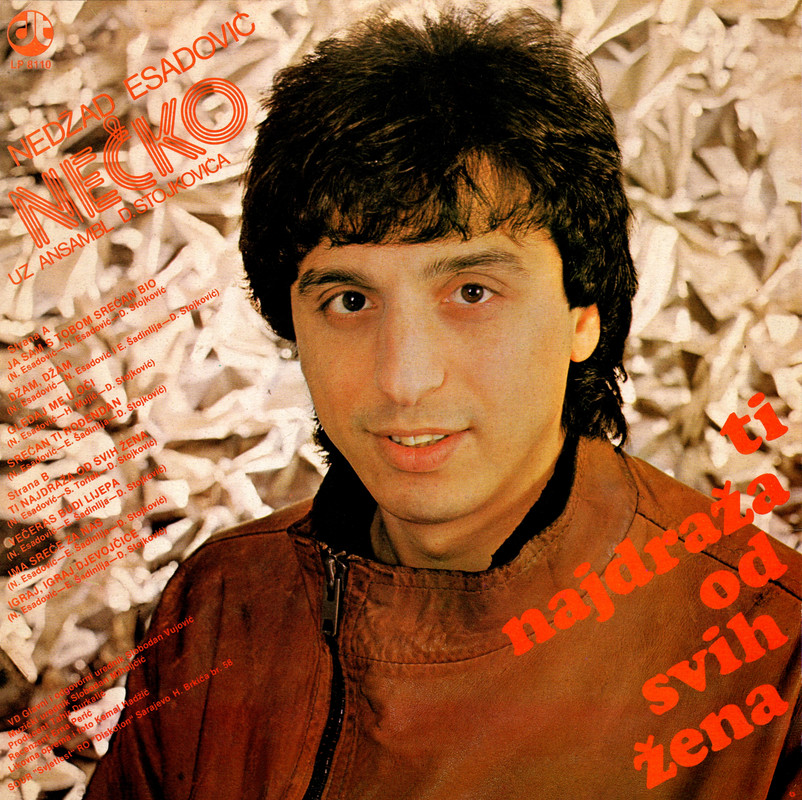 1984_Nedzad_Esadovic_Necko_omot2